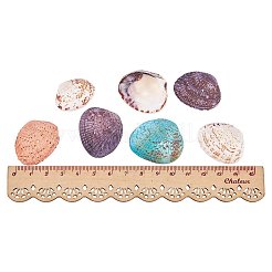 染め天然シェルビーズ  ミックスカラー  32~37x20~29x8~10mm  穴：1mm  約100~120個/箱&nbsp;BSHE-PH0003-02