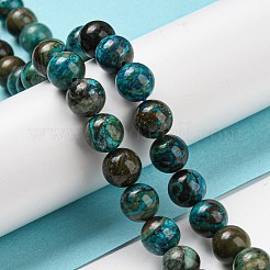 Natural Chrysocolla Beads Strands&nbsp;G-P503-8MM-05