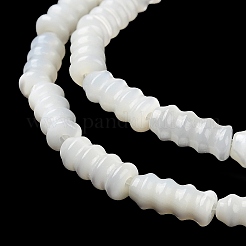Natural Trochus Shell Beads Strands&nbsp;BSHE-Z003-17