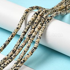 天然石ダルメシアンジャスパービーズ連売り  ディスク  ヒシビーズ  4x2mm  穴：1mm  約173個/連  15.39~15.43''（39.1~39.2センチメートル）&nbsp;G-E612-A01-B