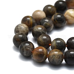 Natural Black Sunstone Beads Strands&nbsp;G-E576-01B
