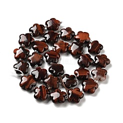Natural Red Tiger Eye Beads Strands&nbsp;G-D475-02E