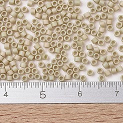 MIYUKI Delica Beads&nbsp;X-SEED-J020-DB2301