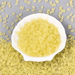 FGB Frosted Transparent Glass Seed Beads&nbsp;SEED-N013-06A-02