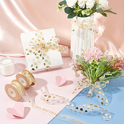 2 Rolls 2 Styles Valentine's Day Hot Stamping Polka Dot & Word Organza Ribbons&nbsp;SRIB-FG0001-17