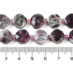 Natural Tourmaline Beads Strands&nbsp;G-G182-A01-01