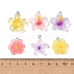 透明樹脂ペンダント  花のチャーム  プラチナ鉄ループ付き  ミックスカラー  23.5~29x21~26x5~9mm  穴：2mm&nbsp;RE-A001-01