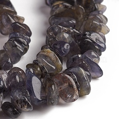 Natural Iolite Beads Strands&nbsp;G-D0002-C48