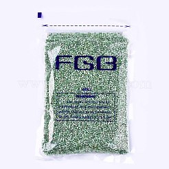 FGB 11/0 Grade A Glass Seed Beads&nbsp;SEED-S030-1217