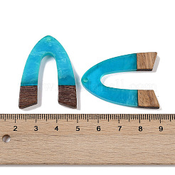 Resin & Wood Pendants&nbsp;WOOD-F015-16F
