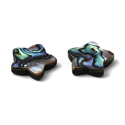 天然アワビシェル/パウアシェルビーズ  スター  カラフル  15.5x16x3.5mm  穴：1mm&nbsp;SHEL-B003-06