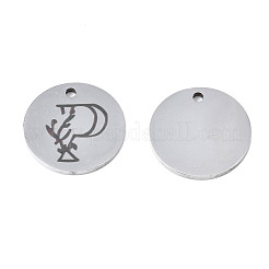 Non-Tarnish 304 Stainless Steel Charms&nbsp;STAS-T059-26P-P