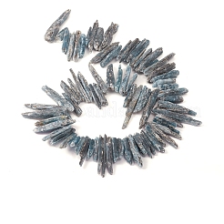 天然カヤナイト/シアナイト/ジステンビーズ連売り  ナゲット  牙の形状  20~41x2~8x4~12mm  穴：0.5mm  約77個/連  15.35インチ（39cm）&nbsp;G-D0009-02