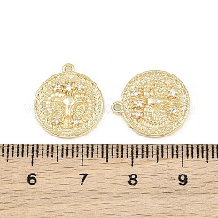 Brass Micro Pave Clear Cubic Zirconia Pendants&nbsp;CU-CBA764E-04-G