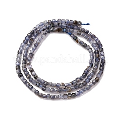 天然石ミックスストーンビーズ連売り  キューブ  2.5x2.5x2.5mm  穴：0.5mm  約152個/連  14.96''（38センチメートル）&nbsp;G-RM241221-K19