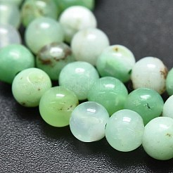 Natural Chrysoprase Beads Strands&nbsp;G-K305-13-B