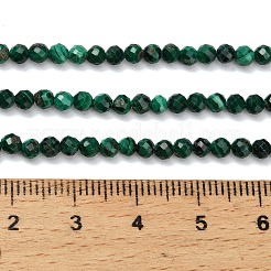 天然石マラカイトビーズ連売り  多面カット  ラウンド  3mm  穴：0.7mm  約128個/連  15.35インチ（39cm）&nbsp;G-C262-A02-3mm