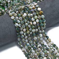 Natural Tree Agate Beads Strands&nbsp;G-K389-B07-01
