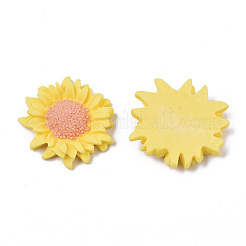 Opaque Resin Cabochons&nbsp;LS-CRES-T022-17F