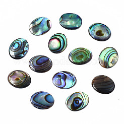 Natural Abalone Shell/Paua Shell Cabochons&nbsp;SSHEL-N034-118