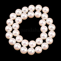 Electroplated Shell Pearl Beads Strands&nbsp;BSHE-C011-01D
