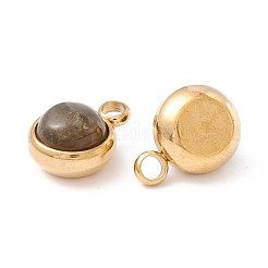 Natural Labradorite Charms&nbsp;G-K325-01G-04