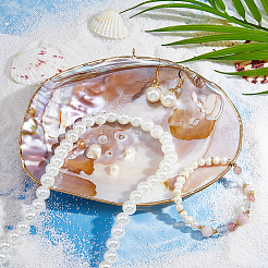 Natural Shells Display Decorations&nbsp;DIY-WH0899-659A