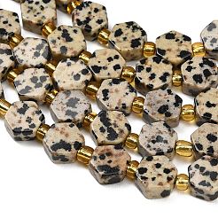 Natural Dalmatian Jasper Beads Strands&nbsp;G-F833-B06-01