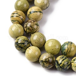 Natural Verdite Stone Beads Strands&nbsp;G-C242-03-10mm