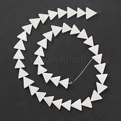 Natural Freshwater Shell Beads Strands&nbsp;BSHE-E028-02