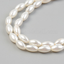 Natural Freshwater Shell Beads Strands&nbsp;SHEL-T017-12