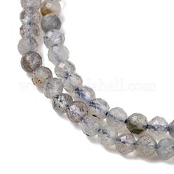 Natural Labradorite Beads Strands&nbsp;LS-G-RM250104-E8