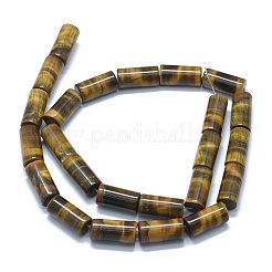 天然石タイガーアイビーズ連売り  コラム  15~17x7.5~8mm  穴：1.2mm  約24~25個/連  14.7~15.5インチ（37.5~39.5cm）&nbsp;G-F631-F01