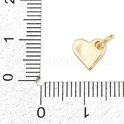 Brass Charms&nbsp;KK-L251-41G-B01
