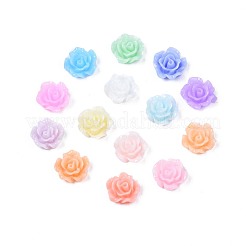 Opaque Resin Cabochons&nbsp;CRES-S307-020-A01