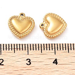 304 Stainless Steel Charms&nbsp;STAS-L022-375G