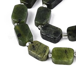Natural Canadian Jade Beads Strands&nbsp;G-C098-A37-01