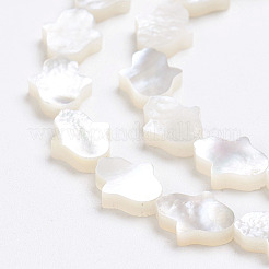 Natural White Shell Mother of Pearl Shell Beads&nbsp;SSHEL-L017-006