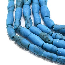 Dyed Synthetic Turquoise Beads Strands&nbsp;G-D356-A01-02