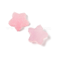 Imitation Candy Food Style Resin Cabochons&nbsp;RESI-R461-02C