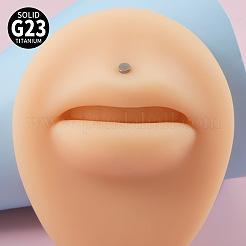 G23チタン17ゲージ内ネジラブレット  女性用、男性用ピアスジュエリー  ステンレス鋼色  フラットラウンド  12mm  ピン：1.2mm&nbsp;WGEEA58-06