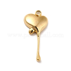 Ion Plating(IP) 304 Stainless Steel Pendants&nbsp;STAS-I197-023G
