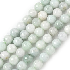 Natural Myanmar Jadeite Beads Strands&nbsp;G-M454-A01-8mm