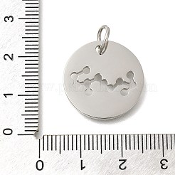 Anti-Tarnish 304 Stainless Steel Pendants&nbsp;STAS-M074-02I-P