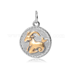 316ステンレススチールペンダント  フラットラウンド  星座/星座付き  山羊座  26x18x3mm  穴：5mm（丸カン含む）&nbsp;STAS-S045-40J
