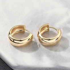 Brass Hoop Earrings&nbsp;EJEW-D320-19G