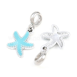Alloy Enamel European Dangle Charms&nbsp;AL-CBAC2D3-02P-06