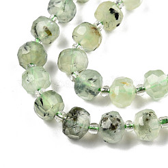 Natural Prehnite Beads Strands&nbsp;G-N327-08H