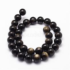 Natural Golden Sheen Obsidian Beads Strands&nbsp;G-D838-8mm-05
