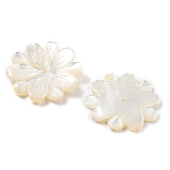 Natural White Shell Carved Beads&nbsp;SSHEL-Z002-03